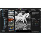 Corel AfterShot Pro 