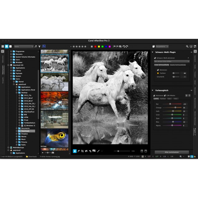 Corel Aftershot Pro