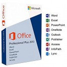 Microsoft Office 2013 Professional Plus (2 PCs)